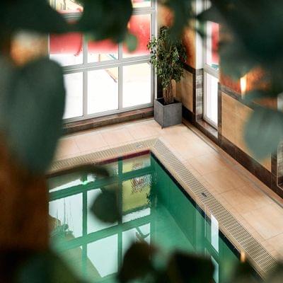 Innenpool mit grüner Wasseroberfläche und Topfpflanze neben großen Fenstern