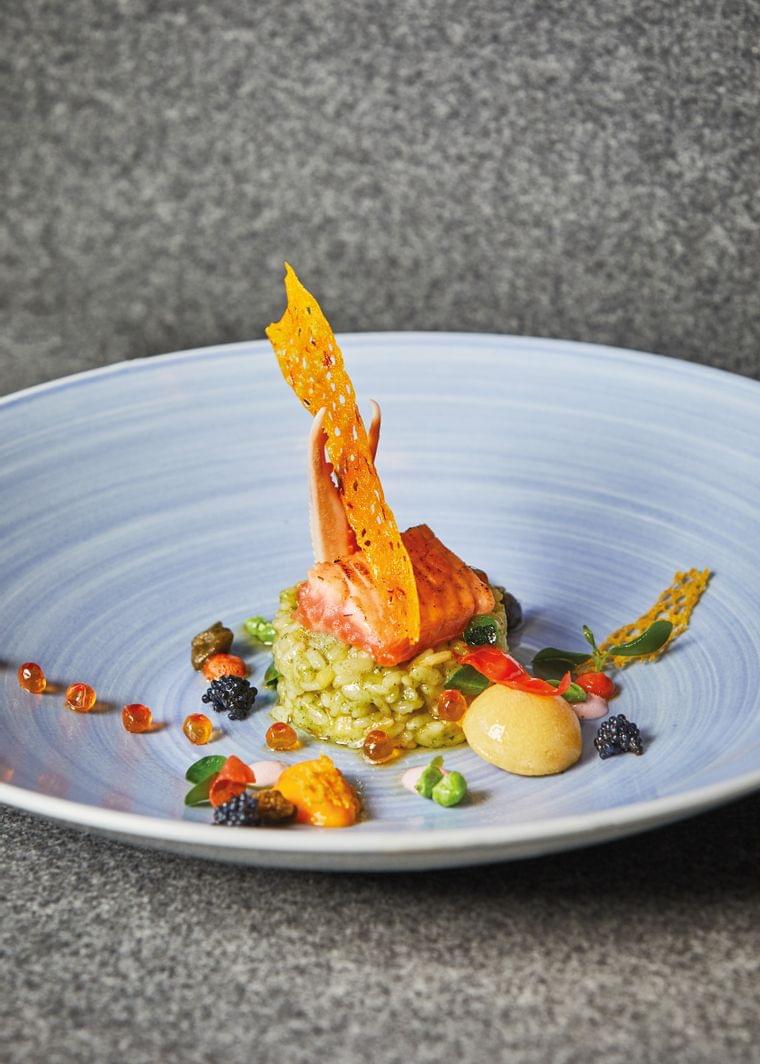 Gourmetgericht mit gegrilltem Lachs, grünem Risotto und bunten Garnierungen auf blauem Teller