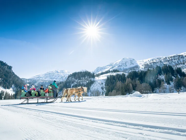 Pferdeschlittenfahrt im verschneiten Alpenpanorama bei Sonnenschein