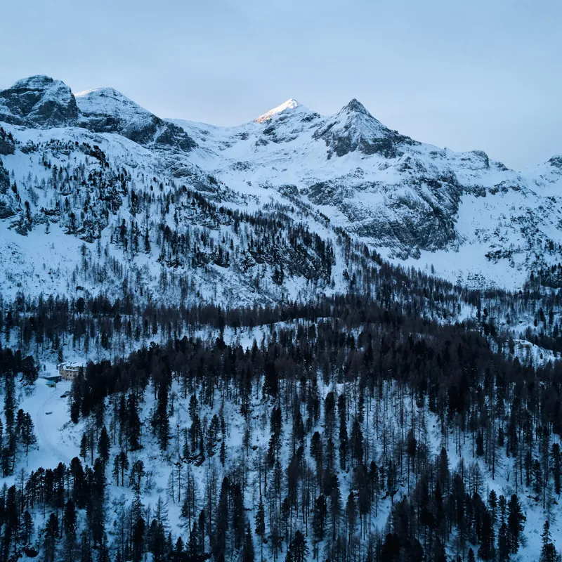 Snow-covered mountain peaks with dense pine forest at dusk