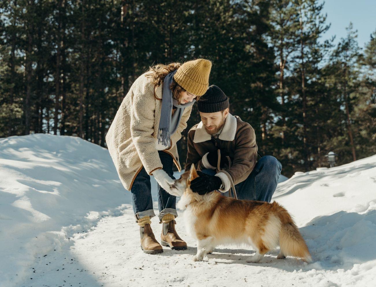 Paar streichelt einen Corgi-Hund auf einem verschneiten Waldweg im Winter